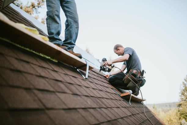 Best Green or Eco-Friendly Roofing Solutions  in Echelon, NJ